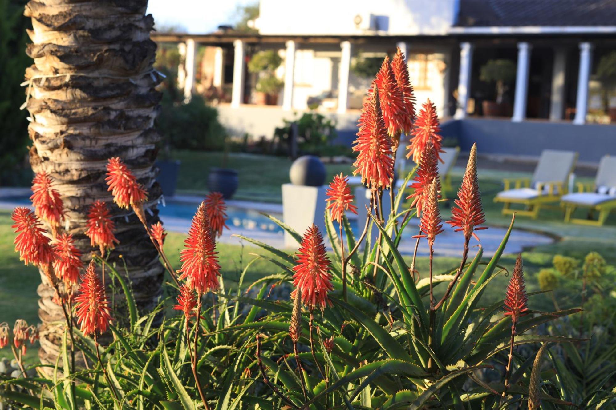 Thylitshia Villa Country Guest House Oudtshoorn Extérieur photo