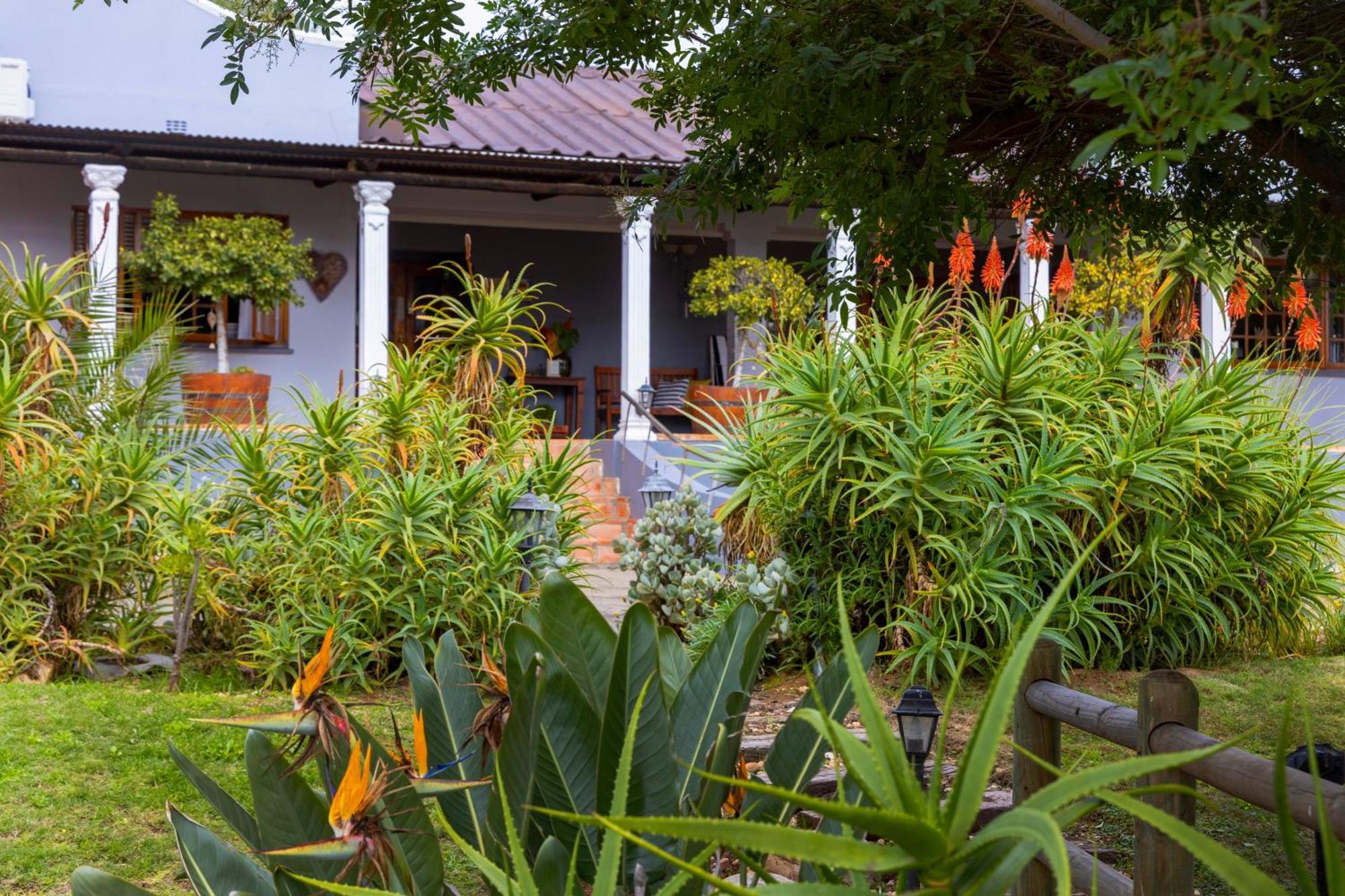 Thylitshia Villa Country Guest House Oudtshoorn Extérieur photo