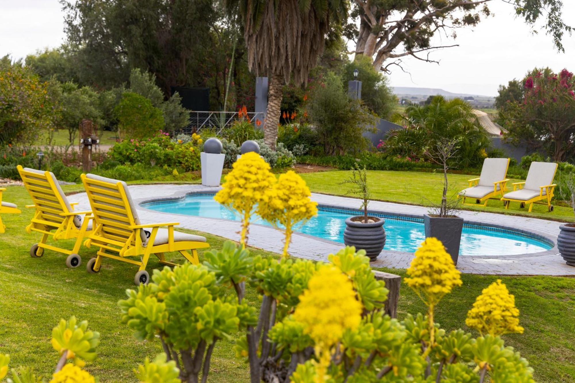 Thylitshia Villa Country Guest House Oudtshoorn Extérieur photo