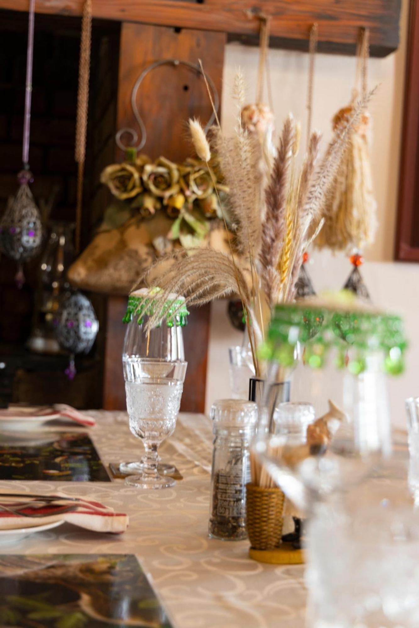 Thylitshia Villa Country Guest House Oudtshoorn Extérieur photo