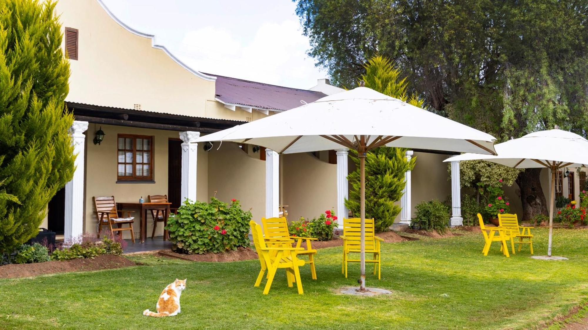 Thylitshia Villa Country Guest House Oudtshoorn Extérieur photo
