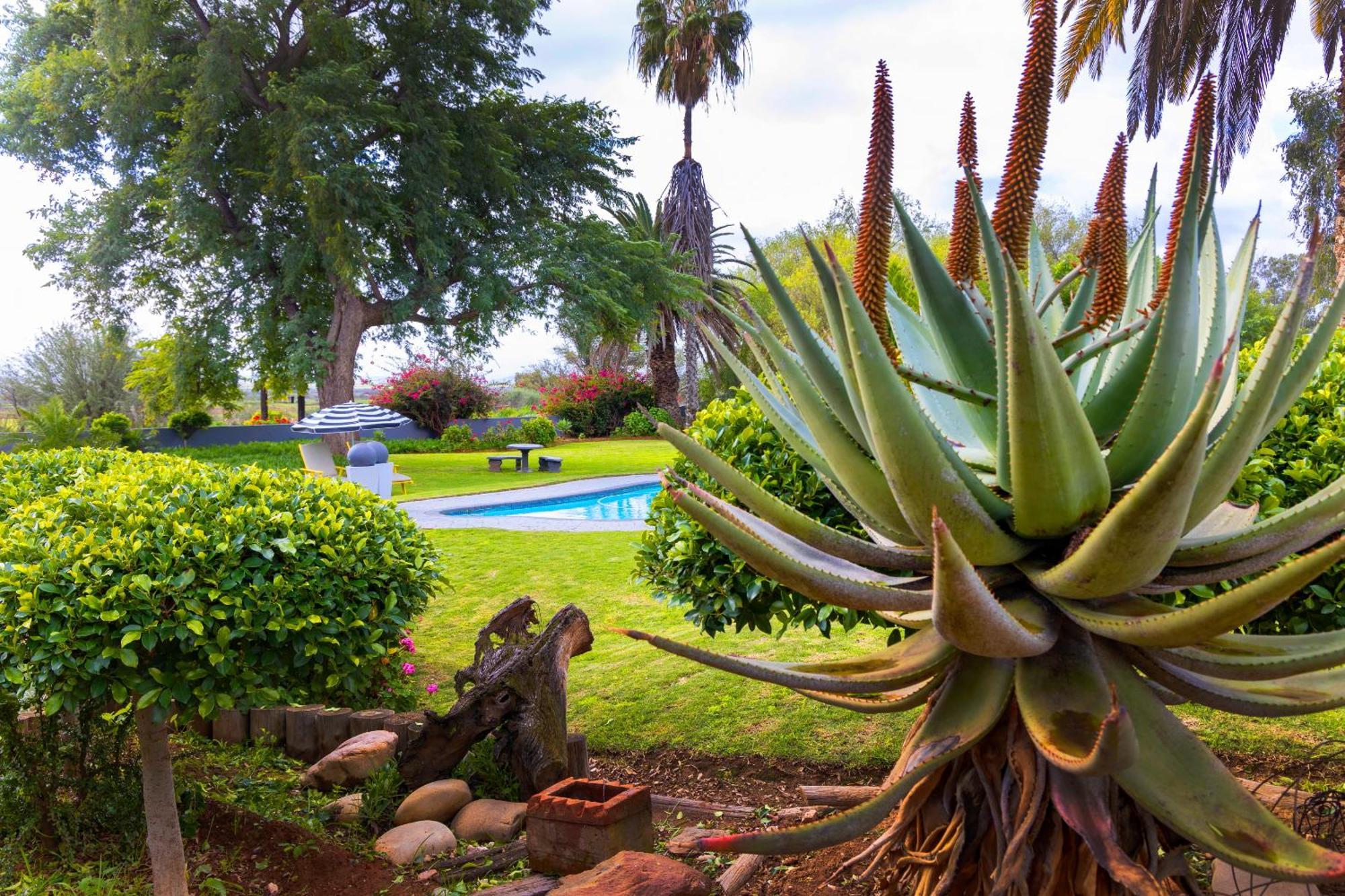Thylitshia Villa Country Guest House Oudtshoorn Extérieur photo