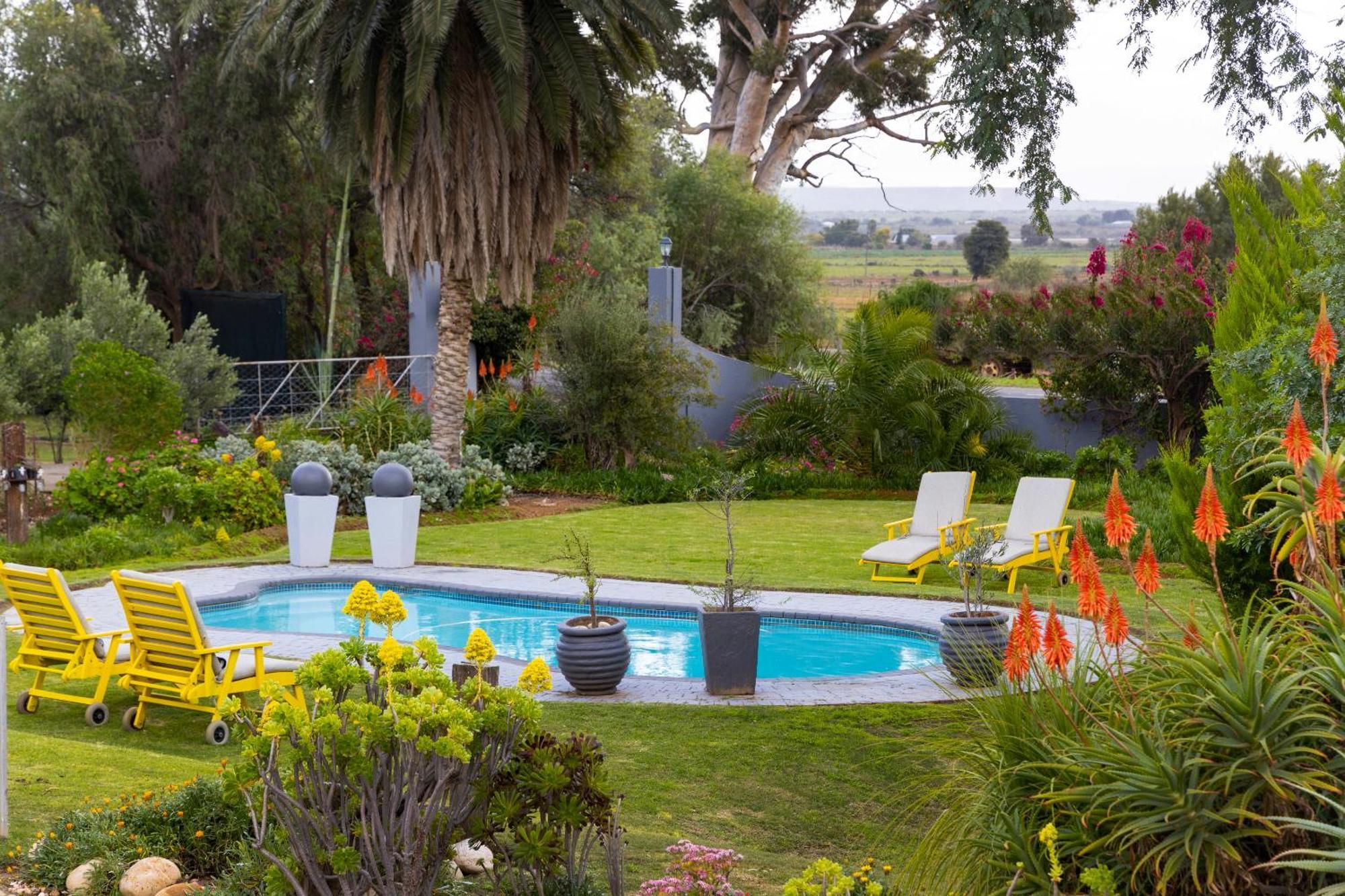 Thylitshia Villa Country Guest House Oudtshoorn Extérieur photo