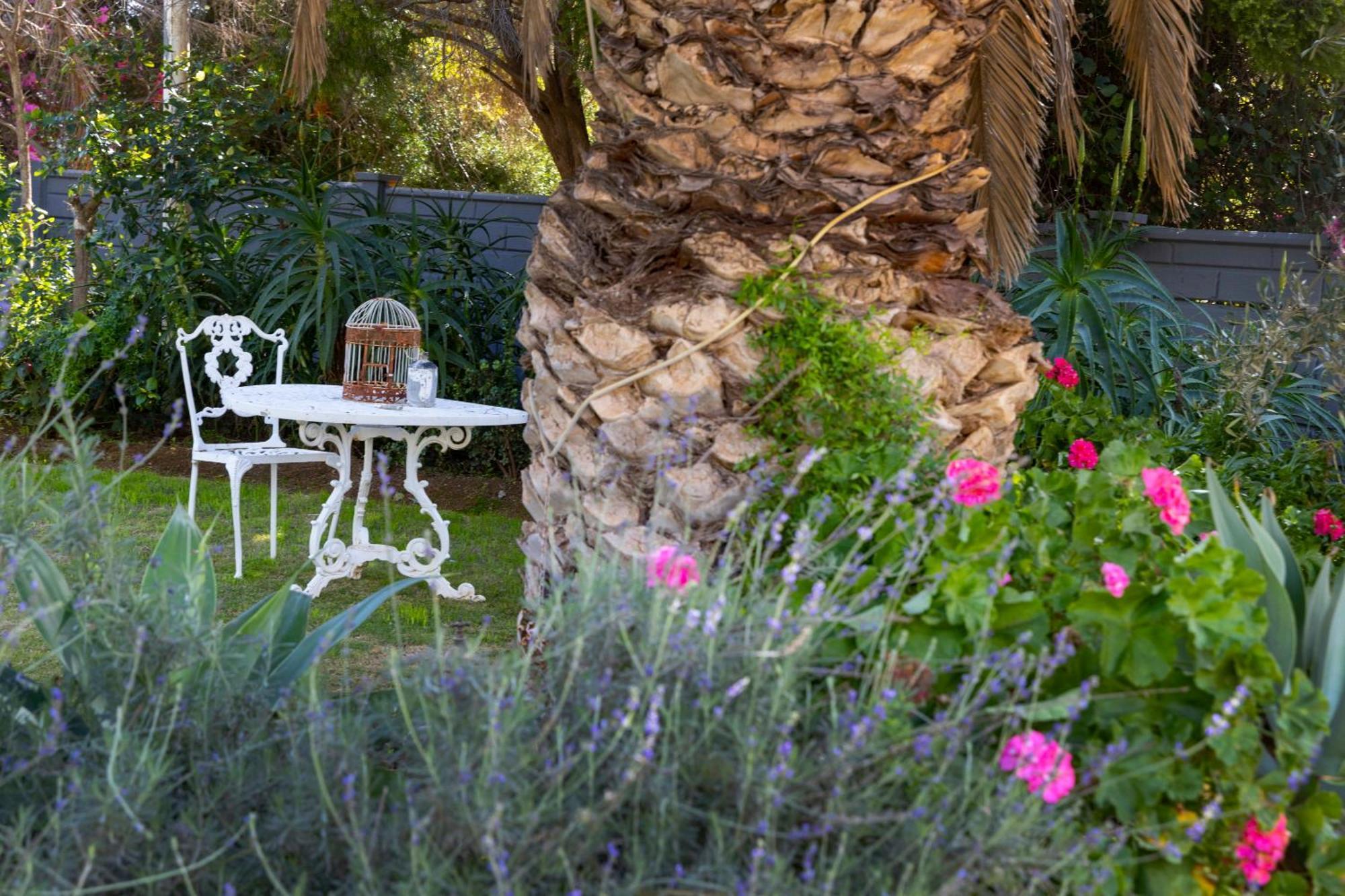 Thylitshia Villa Country Guest House Oudtshoorn Extérieur photo