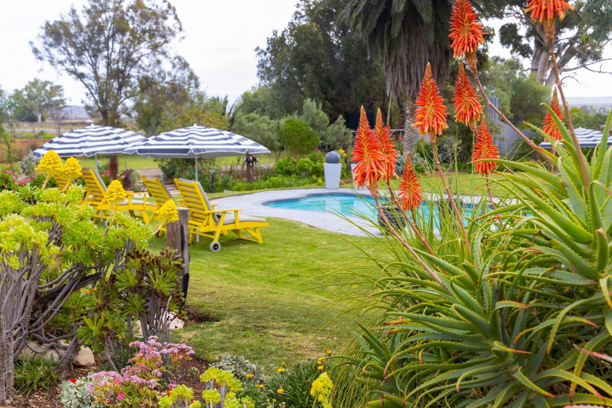 Thylitshia Villa Country Guest House Oudtshoorn Extérieur photo