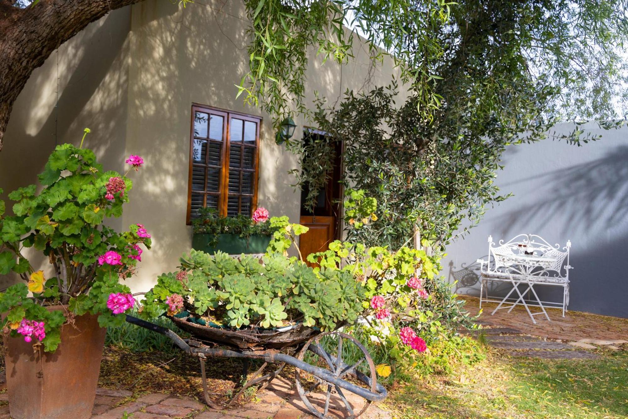 Thylitshia Villa Country Guest House Oudtshoorn Extérieur photo